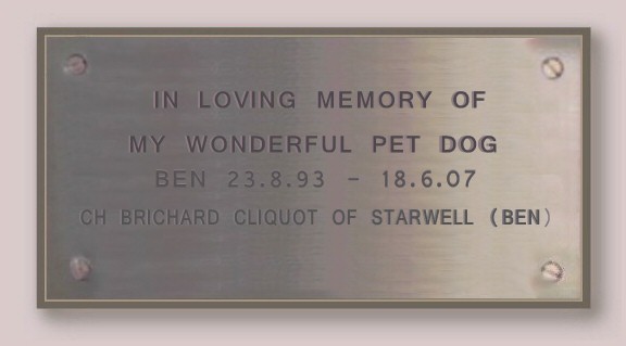 Ben the Champion Starwell Briard Plaque