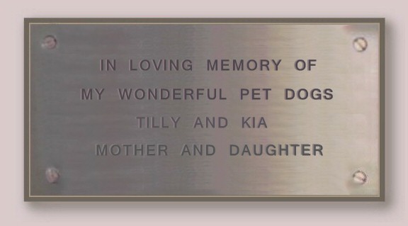 Tilly the Starwell Briard Plaque